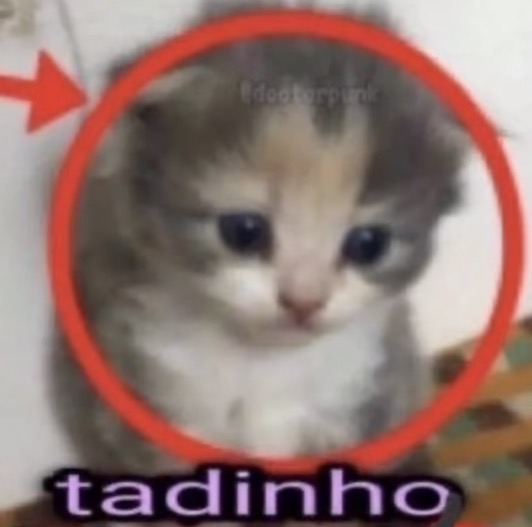 Trabalho de Maria Oliveira
